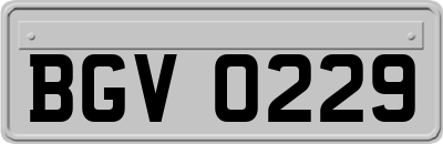 BGV0229