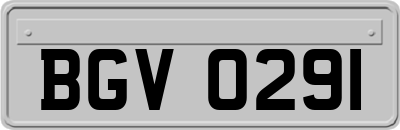 BGV0291