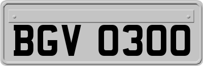BGV0300