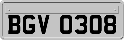 BGV0308