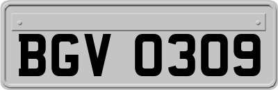 BGV0309