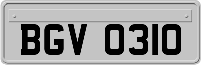 BGV0310