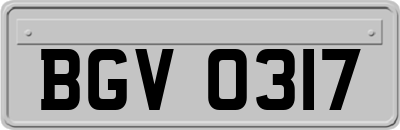 BGV0317