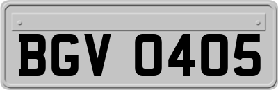 BGV0405