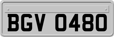 BGV0480