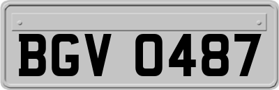 BGV0487