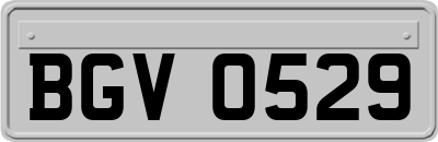 BGV0529