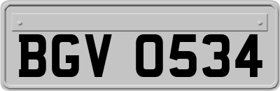 BGV0534