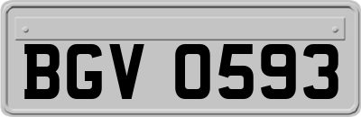 BGV0593