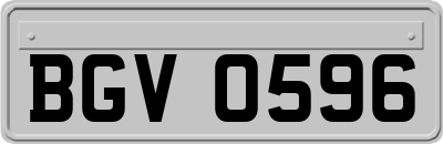 BGV0596