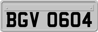 BGV0604