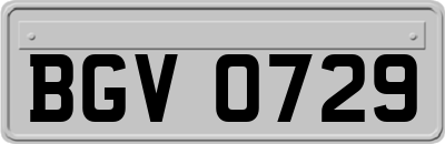BGV0729