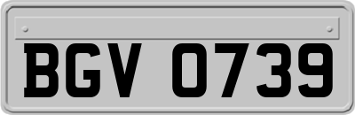 BGV0739