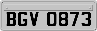 BGV0873
