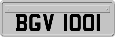 BGV1001