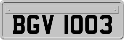 BGV1003
