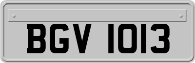 BGV1013
