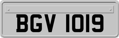 BGV1019