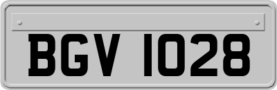 BGV1028