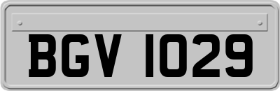 BGV1029