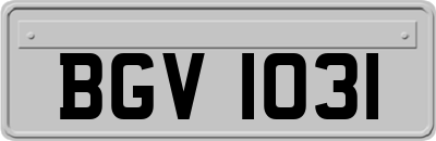 BGV1031