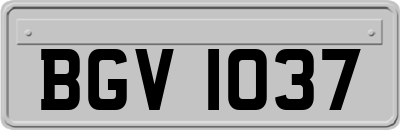 BGV1037