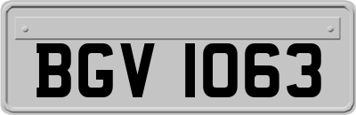 BGV1063