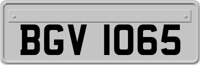 BGV1065