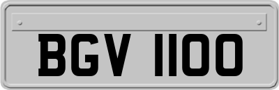 BGV1100