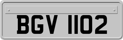 BGV1102
