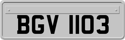 BGV1103