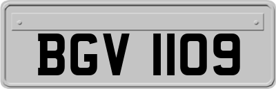 BGV1109