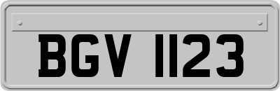BGV1123