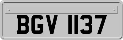 BGV1137