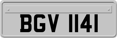 BGV1141