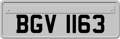 BGV1163