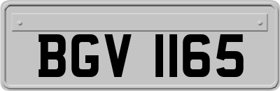 BGV1165