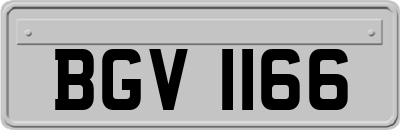 BGV1166