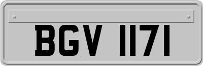 BGV1171