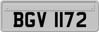 BGV1172