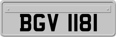 BGV1181