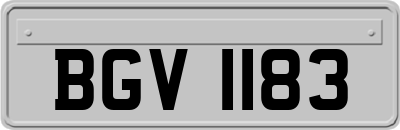 BGV1183