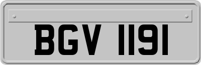 BGV1191