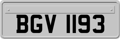 BGV1193
