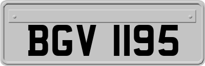 BGV1195