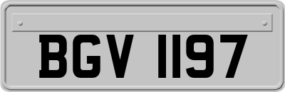 BGV1197