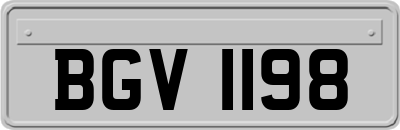 BGV1198