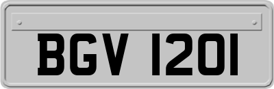 BGV1201