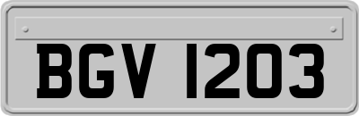 BGV1203