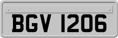 BGV1206